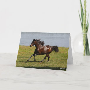 Bob Langrish   Bay Lusitano Mare Running nahe dem  Karte