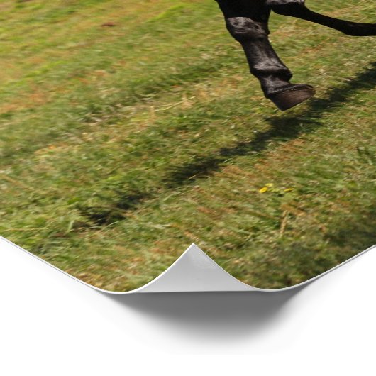 Bob Langrish | Bay Lusitano Mare Running nahe dem  Poster (Ecke)