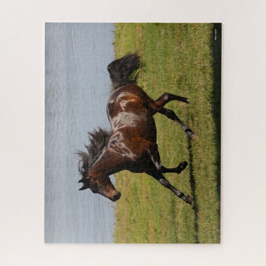 Bob Langrish | Bay Lusitano Mare Running nahe dem  Puzzle (Vertikal)