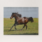 Bob Langrish | Bay Lusitano Mare Running nahe dem Puzzle (Horizontal)