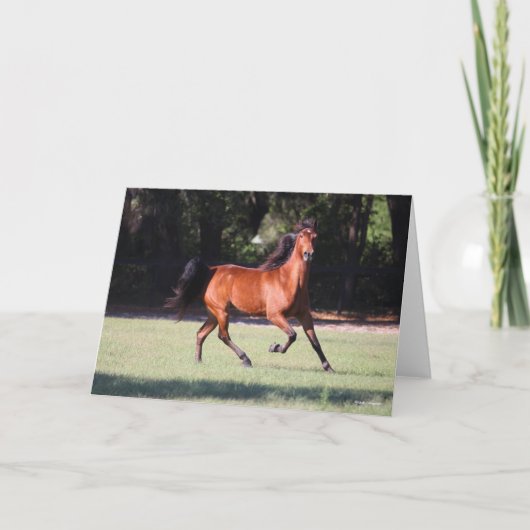 Bob Langrish | Bay Tennessee Walker Running Karte (Vorderseite)