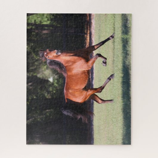 Bob Langrish | Bay Tennessee Walker Running Puzzle (Vertikal)