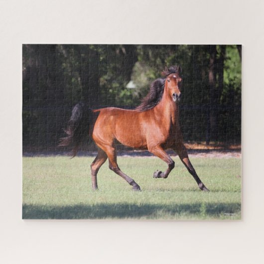 Bob Langrish | Bay Tennessee Walker Running Puzzle (Horizontal)
