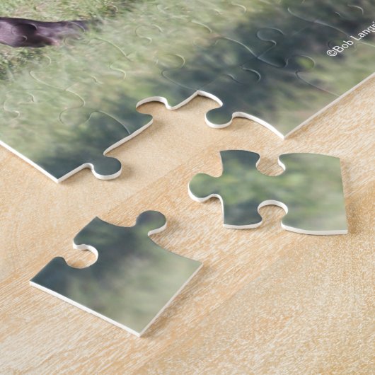 Bob Langrish | Bay Tennessee Walker Running Puzzle (Seite)