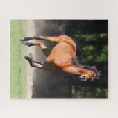 Bob Langrish | Bay Tennessee Walker Running Puzzle (Horizontal)