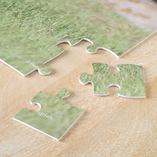 Bob Langrish | Bay Tennessee Walker Running Puzzle (Seite)