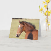 Bob Langrish | Bay Warmblut Foot Headshot Karte (Gelbe Blume)