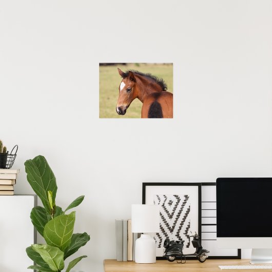 Bob Langrish | Bay Warmblut Foot Headshot Poster (Heimbüro)