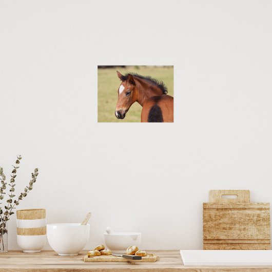 Bob Langrish | Bay Warmblut Foot Headshot Poster (Küche)