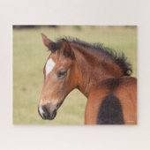 Bob Langrish | Bay Warmblut Foot Headshot Puzzle (Horizontal)