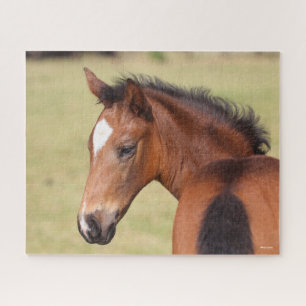 Bob Langrish   Bay Warmblut Foot Headshot Puzzle