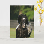 Bob Langrish Black and White Sinti und Roma Vanner Karte (Gelbe Blume)