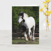 Bob Langrish Black and White Sinti und Roma Vanner Karte (Gelbe Blume)