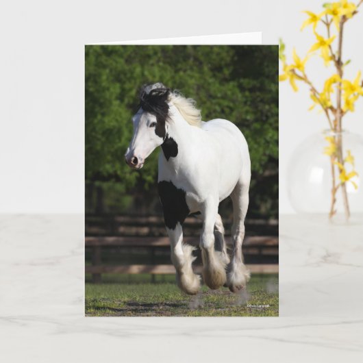 Bob Langrish Black and White Sinti und Roma Vanner Karte (Gelbe Blume)