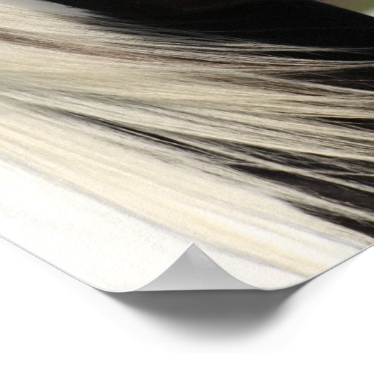 Bob Langrish Black and White Sinti und Roma Vanner Poster (Ecke)