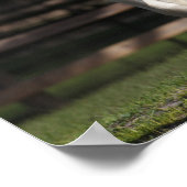 Bob Langrish Black and White Sinti und Roma Vanner Poster (Ecke)