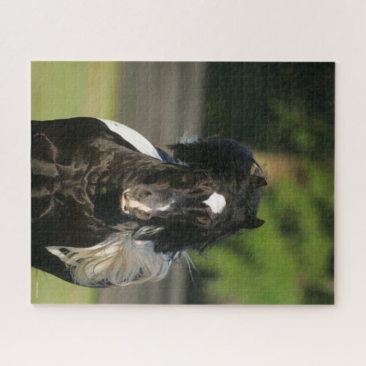 Bob Langrish Black and White Sinti und Roma Vanner Puzzle (Horizontal)