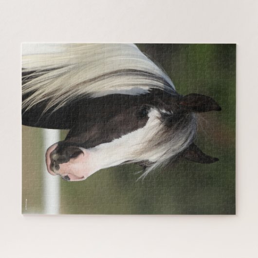 Bob Langrish Black and White Sinti und Roma Vanner Puzzle (Horizontal)