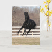 Bob Langrish | Black Andalucian Horse Running Karte (Gelbe Blume)