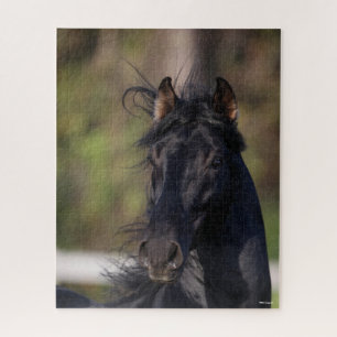 Bob Langrish   Black Andalucian Stallion Headshot Puzzle