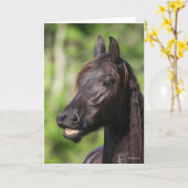 Bob Langrish | Black Friesian Flehmen Headshot Karte (Gelbe Blume)