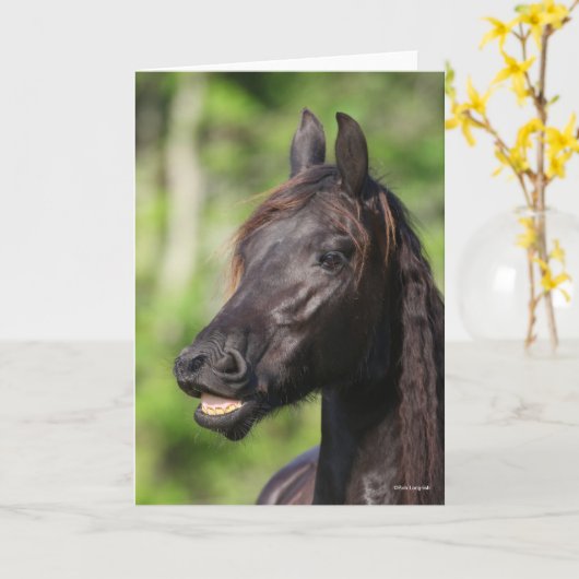 Bob Langrish | Black Friesian Flehmen Headshot Karte (Gelbe Blume)