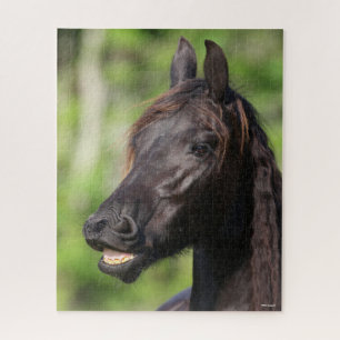 Bob Langrish Black Friesian Flehmen Headshot Puzzle