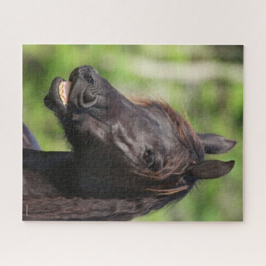 Bob Langrish | Black Friesian Flehmen Headshot Puzzle (Horizontal)