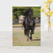 Bob Langrish | Black Friesian Horse Running Karte (Gelbe Blume)