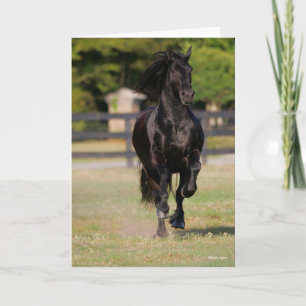 Bob Langrish   Black Friesian Mare Running Karte