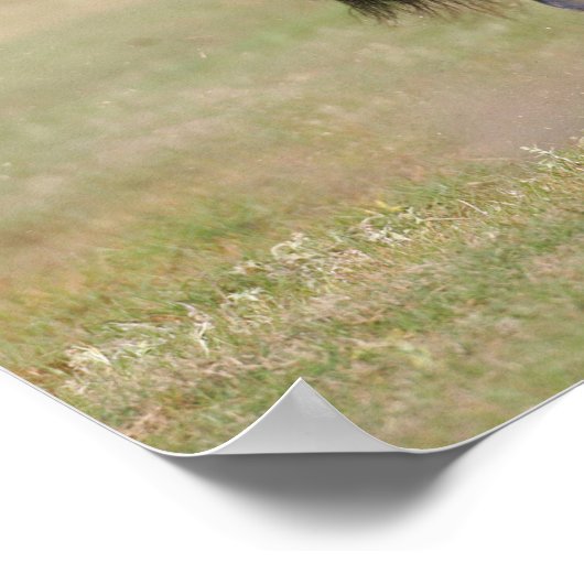 Bob Langrish | Black Friesian Mare Running Poster (Ecke)