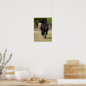 Bob Langrish | Black Friesian Mare Running Poster (Küche)