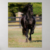 Bob Langrish | Black Friesian Mare Running Poster (Vorne)