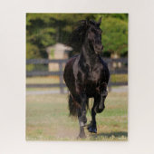 Bob Langrish | Black Friesian Mare Running Puzzle (Vertikal)