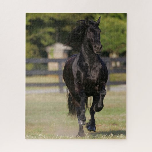 Bob Langrish | Black Friesian Mare Running Puzzle (Vertikal)