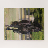 Bob Langrish | Black Friesian Mare Running Puzzle (Horizontal)