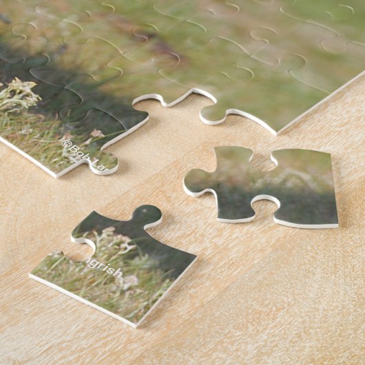 Bob Langrish | Black Friesian Mare Running Puzzle (Seite)