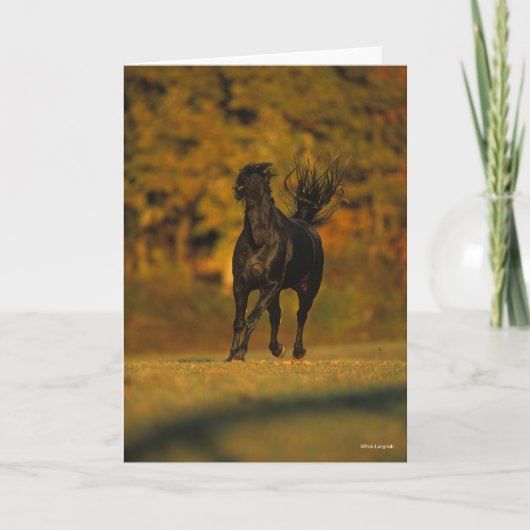 Bob Langrish | Black Friesian Running In Autumn Karte (Vorderseite)