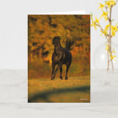 Bob Langrish | Black Friesian Running In Autumn Karte (Gelbe Blume)