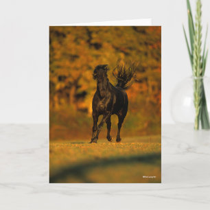 Bob Langrish   Black Friesian Running In Autumn Karte