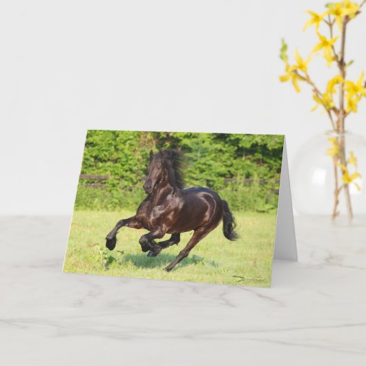 Bob Langrish | Black Friesian Running Karte (Gelbe Blume)