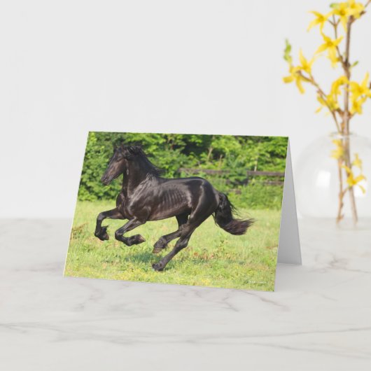 Bob Langrish | Black Friesian Running Karte (Gelbe Blume)