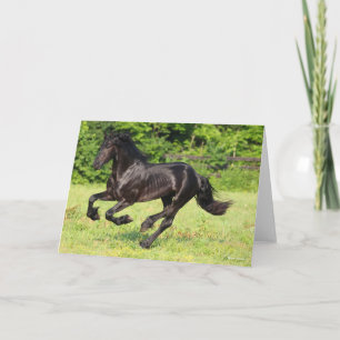 Bob Langrish   Black Friesian Running Karte