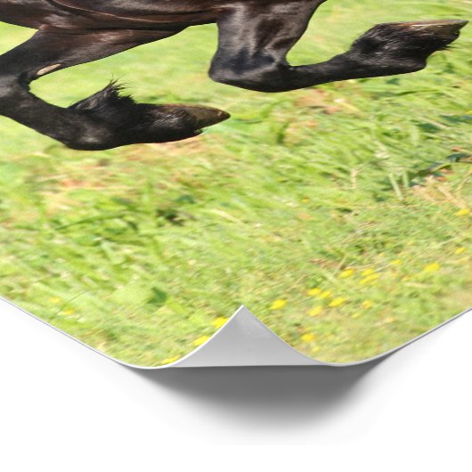 Bob Langrish | Black Friesian Running Poster (Ecke)
