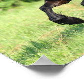 Bob Langrish | Black Friesian Running Poster (Ecke)