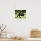 Bob Langrish | Black Friesian Running Poster (Küche)