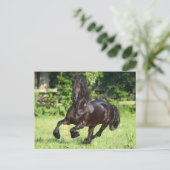 Bob Langrish | Black Friesian Running Postkarte (Stehend Vorderseite)