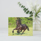 Bob Langrish | Black Friesian Running Postkarte (Stehend Vorderseite)