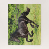Bob Langrish | Black Friesian Running Puzzle (Vertikal)