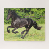 Bob Langrish | Black Friesian Running Puzzle (Horizontal)